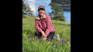 Jane Wentworth -- Native & Pollinator-Friendly Plants