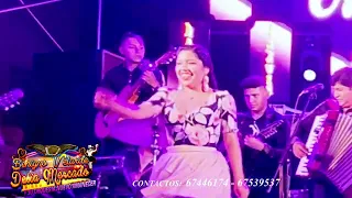 Delia Mercado - Benigno Velarde  - mix huayños en vivo feria de potrero