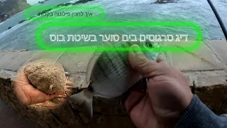 דיג סרגוסים בשיטת בוס בים סוער + הכנת פילוטה בקלות