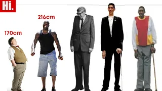 Tallest Man in History - The Verified List of 100 Tallest People in History