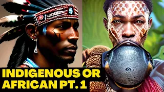 ARE BLACK AMERICANS INDIGENOUS OR AFRICAN? EXPLAINED! PT. 1