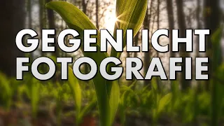 LANDSCHAFTSFOTOGRAFIE im GEGENLICHT