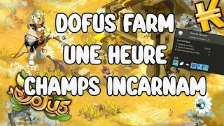 [DOFUS] Farm 1H Les Champs d'Incarnam, ça rapporte combien? #3