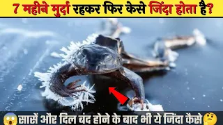 ये जानवर भी अजीब है 😱 👉 बर्फ बनकर पिघलने वाला मेंढक|wood frog|Amazing facts |#Shorts