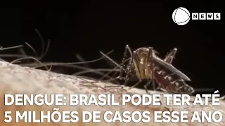 Brasil pode ter até 5 milhões de casos de dengue em 2024