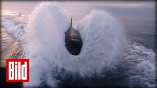 Killerwale jagen Motorboot - Orca-Wale vor Kalifornien ( angeln )
