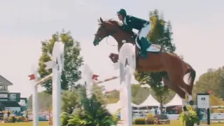 Survivor || Show jumping equestrian edit || original music video by Uk horse lover