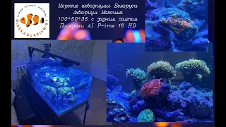 Морской аквариум 150 литров. Померяли PAR AI Prime 16 HD. Расстроились.