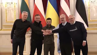 Poland, Lithuania, Ukraine, Latvia, Estonia and Czechia - European Friends and Allies