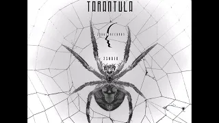 John D = Tarantula (Zibe Remix)  (2SR010)