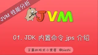 Java 性能分析工具 #01 内置工具 jps 介绍