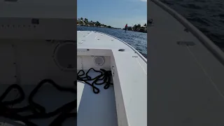 73 MPH in an Intrepid flats boat with a 250hp EFI.