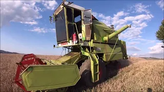 ŻNIWA 2023 Claas Mercator 60