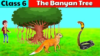 The Banyan Tree Class 6 || Class 6 English || हिंदी में | Part 1|| Animated Story