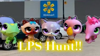 LPS Hunt With Me!!!