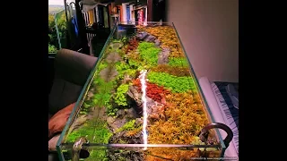 Optimizing CO2 in a planted tank - Additional notes on gaseous exchange