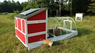 Homemade, self moving chicken tractor!