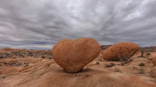 Joshua Tree and Heart Rock