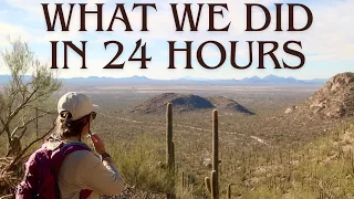 Saguaro National Park - Hikes, Visitor Center, & more!