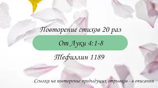 Тефиллин. От Луки 4:1-8. Повторение стихов 20 раз