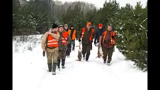 Полювання на зайця в МСК Сокіл