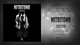 NITRITONO - Non È Questa La Vita Che Sognavo Da Bambina (AUDIO TRACK)