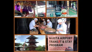 Japan Narita Transit and Stay Free Temple Tour- What to do with a 18 hour Layover in Narita