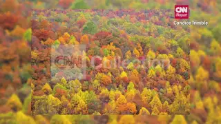 VA:FALL COLORS IN THE SHENANDOAH VALLEY (WOW)