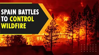 Spain battles to stop raging wildfire | WION Originals | International News | World News