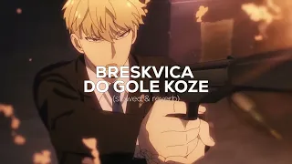 BRESKVICA - DO GOLE KOZE [slowed & reverb]