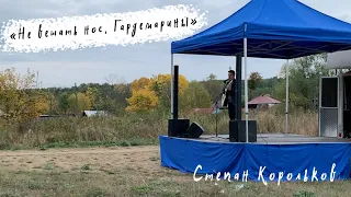 "Не вешать нос, Гардемарины" кавер под гитару / Степан Корольков (концерт в Степаново)