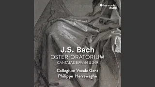 Cantata, BWV 249 "Oster-Oratorium": IX. Aria "Saget, saget mir geschwinde"