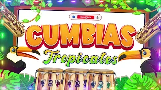 🔆CUMBIAS VIEJITAS MIX🦜LOS KARKIS, ACAPULCO TROPICAL, TROPICAL FLORIDA🎺CUMBIAS TROPICALES 2024