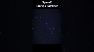 SpaceX Starlink Satellites In Night Sky