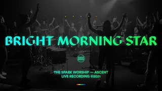 The Spark - Bright Morning Star (Official Music Video)