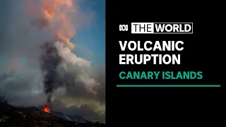 Area hit by volcano on Spanish island of La Palma could be uninhabitable for years | The World