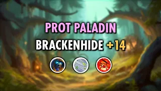 419 Protection Paladin ⚔️ Brackenhide +14 🔥 Dragonflight 10.1 S2 M+