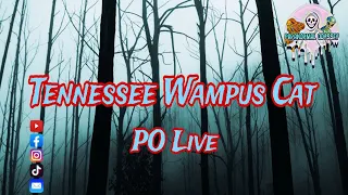 Tennessee Bigfoot, and a Wampus Cat! Paranormal Odyssey Live EP:199