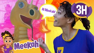 Meekah's Dragon Adventure at Children's Fairyland | Blippi and Meekah Educational Videos for Kids