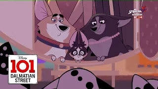 Follow My Lead (Clip) / A Right Royal Rumble / 101 Dalmatian Street (CTO Uploads)