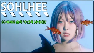 SOHLHEE 솔희 '수선화 (水仙花)'MV