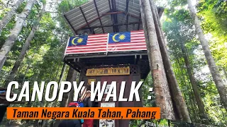 Canopy Walk at Taman Negara Kuala Tahan, Pahang