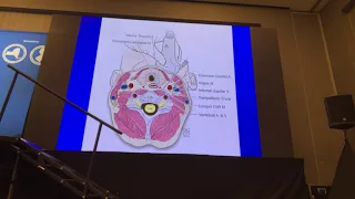 Dr. Kenneth Candido describes Bundled vs. Un-Bundled Pain Procedures.