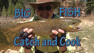 Camping Catch and Cook Fish 9 Days in the Woods / Big Trout Fishing & Overnight Backpacking Trip