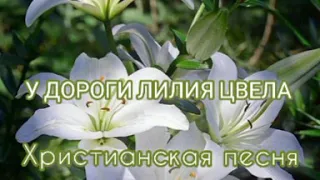 🌿 У ДОРОГИ ЛИЛИЯ ЦВЕЛА 🌿 Христианская песня. Fam.Binefeld.