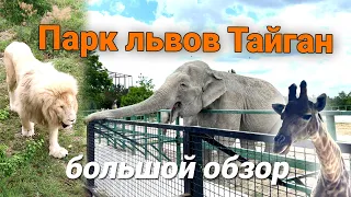 Парк львов Тайган в Крыму. Большой обзор. Лучший зоопарк. Крым. Белогорск