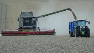 Harvest 2020 - Combining Wheat with NEW Claas Lexion 7500 & Carting with John Deere 6215Rs at dusk