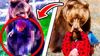 Unbelievable Bear Attacks & Interactions CAUGHT ON CAMERA