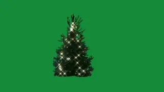 Christmas Tree Green Screen Free to Use.