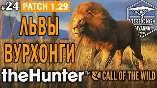 theHunter Call of the Wild #24 🔫 - Львы Вурхонги - Выстрел в Легкие - Патч 1.29